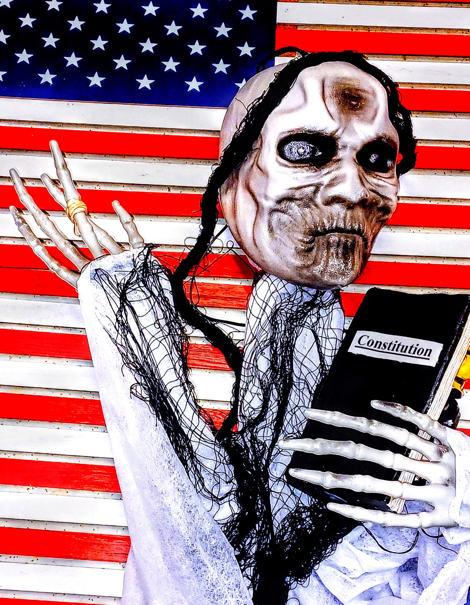 I Swear to Uphold the Constitution!