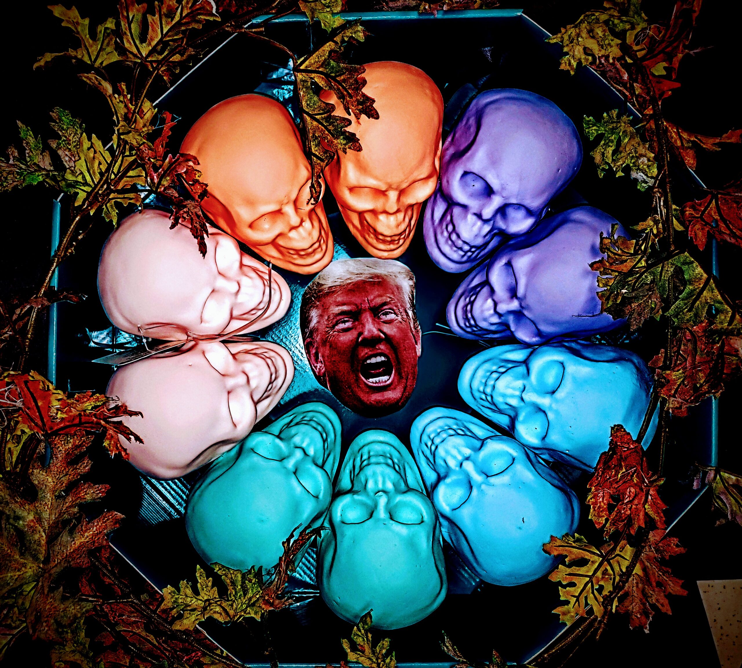 Trump and His Cabinet!
